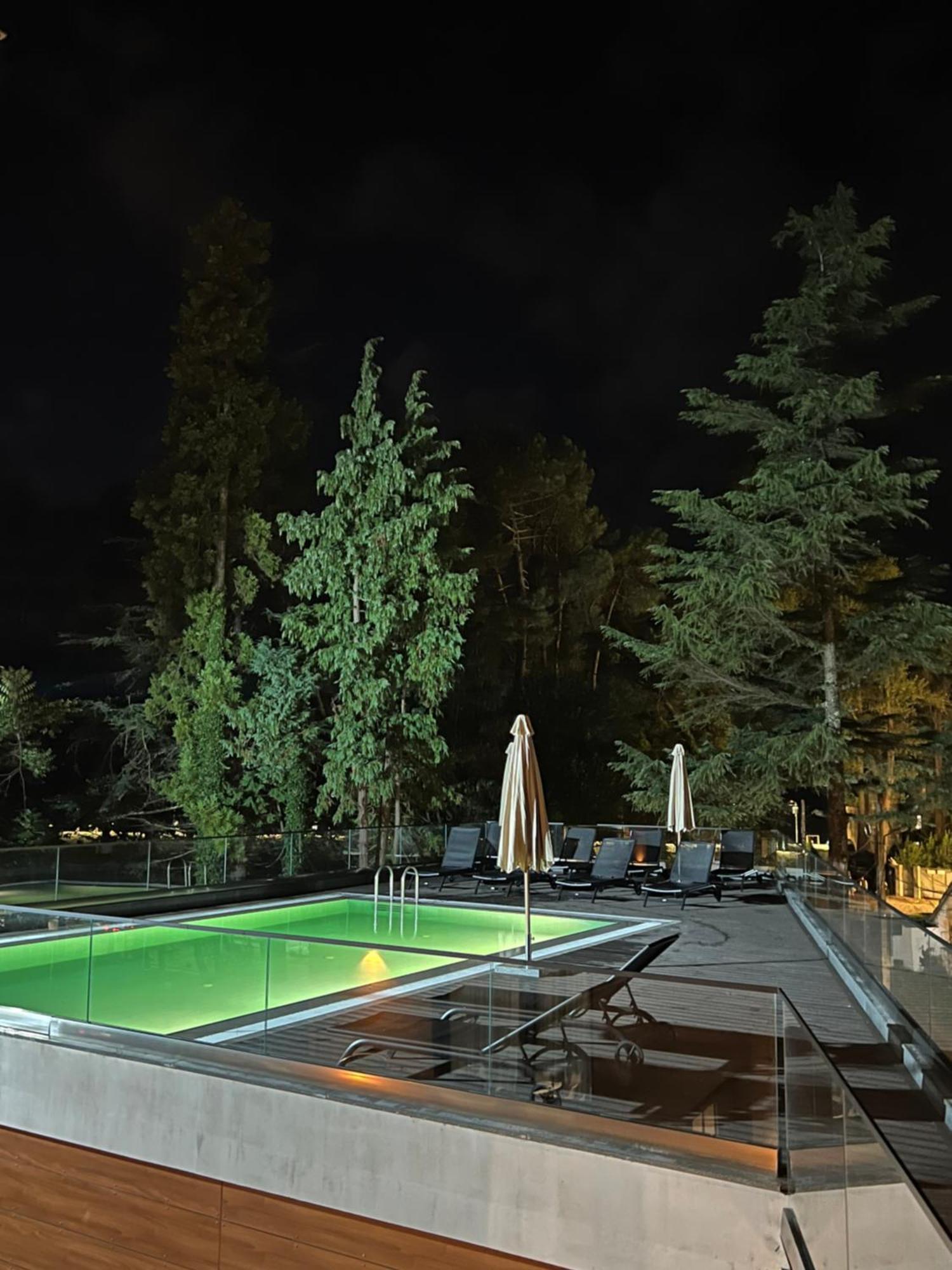 Ritsa Resort Урекі Екстер'єр фото